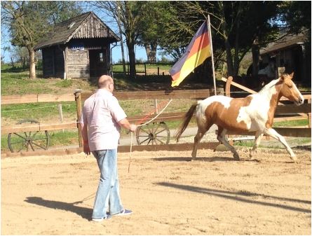 im-vertrieb-verkauf-vom-pferd-lernen-nonverbale-kommunikation